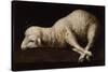 Agnus Dei, C.1635-40-Francisco de Zurbaran-Stretched Canvas