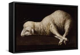 Agnus Dei, C.1635-40-Francisco de Zurbaran-Framed Stretched Canvas