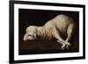 Agnus Dei, C.1635-40-Francisco de Zurbaran-Framed Giclee Print