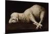 Agnus Dei, C.1635-40-Francisco de Zurbaran-Mounted Giclee Print