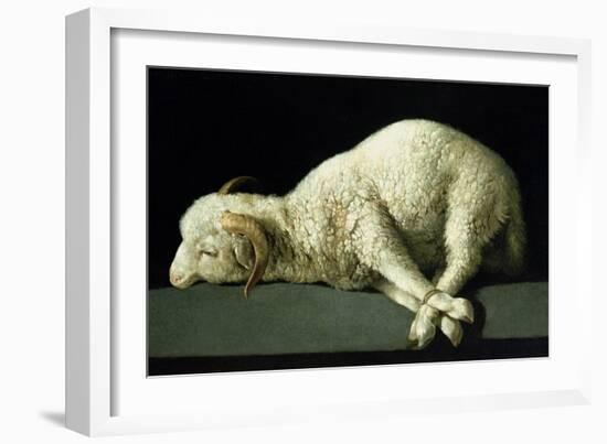 Agnus Dei, circa 1635-40-Francisco de Zurbarán-Framed Giclee Print