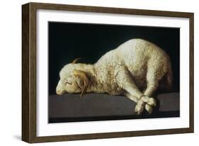 Agnus Dei (Lamb of God)-Francisco de Zurbarán-Framed Giclee Print