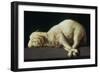 Agnus Dei (Lamb of God)-Francisco de Zurbarán-Framed Giclee Print