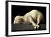 Agnus Dei (The Lamb of God), 1635-1640-Francisco de Zurbaran-Framed Giclee Print