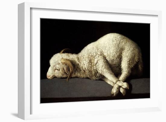 Agnus Dei (The Lamb of God), 1635-1640-Francisco de Zurbaran-Framed Giclee Print