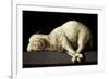 Agnus Dei (The Lamb of God), 1635-1640-Francisco de Zurbaran-Framed Giclee Print