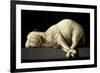 Agnus Dei (The Lamb of God), 1635-1640-Francisco de Zurbaran-Framed Giclee Print