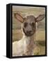 Agnus-Peter Harrap-Framed Stretched Canvas