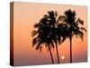 Agonda Beach, Goa, India, Asia-Ben Pipe-Stretched Canvas