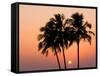 Agonda Beach, Goa, India, Asia-Ben Pipe-Framed Stretched Canvas