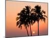 Agonda Beach, Goa, India, Asia-Ben Pipe-Mounted Photographic Print