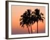 Agonda Beach, Goa, India, Asia-Ben Pipe-Framed Photographic Print