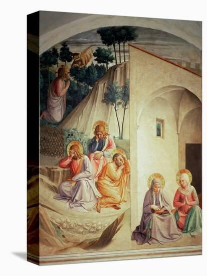 Agony in the Garden, 1442-Fra Angelico-Stretched Canvas