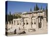 Agora, Archaeological Site of Hierapolis, Pamukkale, Anatolia, Turkey Minor, Eurasia-Philip Craven-Stretched Canvas