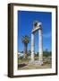 Agora, Kos City, Kos, Dodecanese, Greek Islands, Greece, Europe-null-Framed Photographic Print