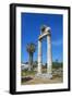 Agora, Kos City, Kos, Dodecanese, Greek Islands, Greece, Europe-null-Framed Photographic Print