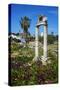 Agora, Kos City, Kos, Dodecanese, Greek Islands, Greece, Europe-null-Stretched Canvas