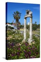 Agora, Kos City, Kos, Dodecanese, Greek Islands, Greece, Europe-null-Stretched Canvas