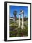 Agora, Kos City, Kos, Dodecanese, Greek Islands, Greece, Europe-null-Framed Premium Photographic Print