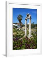 Agora, Kos City, Kos, Dodecanese, Greek Islands, Greece, Europe-null-Framed Photographic Print