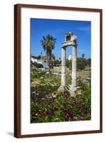 Agora, Kos City, Kos, Dodecanese, Greek Islands, Greece, Europe-null-Framed Photographic Print