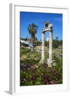 Agora, Kos City, Kos, Dodecanese, Greek Islands, Greece, Europe-null-Framed Photographic Print