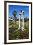 Agora, Kos City, Kos, Dodecanese, Greek Islands, Greece, Europe-null-Framed Photographic Print