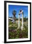 Agora, Kos City, Kos, Dodecanese, Greek Islands, Greece, Europe-null-Framed Photographic Print