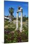 Agora, Kos City, Kos, Dodecanese, Greek Islands, Greece, Europe-null-Mounted Photographic Print