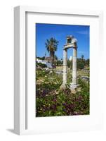 Agora, Kos City, Kos, Dodecanese, Greek Islands, Greece, Europe-null-Framed Photographic Print