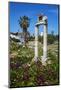 Agora, Kos City, Kos, Dodecanese, Greek Islands, Greece, Europe-null-Mounted Photographic Print