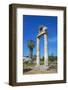 Agora, Kos City, Kos, Dodecanese, Greek Islands, Greece, Europe-null-Framed Photographic Print