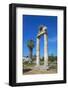 Agora, Kos City, Kos, Dodecanese, Greek Islands, Greece, Europe-null-Framed Photographic Print