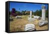 Agora, Kos, Dodecanese, Greek Islands, Greece, Europe-null-Framed Stretched Canvas