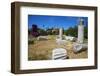 Agora, Kos, Dodecanese, Greek Islands, Greece, Europe-null-Framed Photographic Print