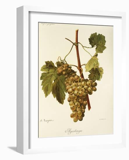 Agostenga Grape-A. Kreyder-Framed Giclee Print