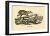 Agouti-E.f. Noel-Framed Art Print