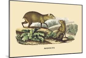 Agouti-E.f. Noel-Mounted Art Print