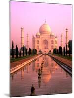 Agra, India, Wonder of the Taj Mahal-Bill Bachmann-Mounted Photographic Print
