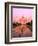 Agra, India, Wonder of the Taj Mahal-Bill Bachmann-Framed Photographic Print