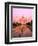 Agra, India, Wonder of the Taj Mahal-Bill Bachmann-Framed Photographic Print