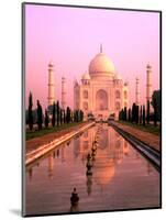 Agra, India, Wonder of the Taj Mahal-Bill Bachmann-Mounted Photographic Print