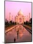 Agra, India, Wonder of the Taj Mahal-Bill Bachmann-Mounted Premium Photographic Print