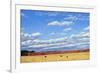 Agri-Nature 15-James W. Johnson-Framed Giclee Print