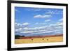 Agri-Nature 15-James W. Johnson-Framed Giclee Print