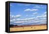 Agri-Nature 15-James W. Johnson-Framed Stretched Canvas