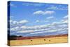 Agri-Nature 15-James W. Johnson-Stretched Canvas