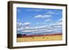 Agri-Nature 15-James W. Johnson-Framed Giclee Print