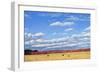 Agri-Nature 15-James W. Johnson-Framed Giclee Print