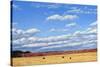 Agri-Nature 15-James W. Johnson-Stretched Canvas